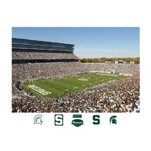   State Spartans Spartan Stadium Mural Wall Graphic: Sports & Outdoors