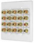 Home Theatre Wall Plate 20 Terminal Decora