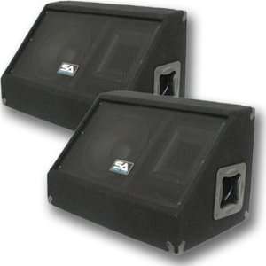  Seismic Audio   Two 10 Inch PA/DJ Speaker Cabinets with 