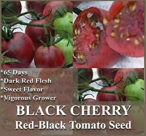 Tomato seeds *BST* HEIRLOOM RARE & SWEET ~~BLACK CHERRY  