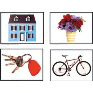   Pack CARSON DELLOSA PHOTOGRAPHIC LEARNING CARDS NOUNS 