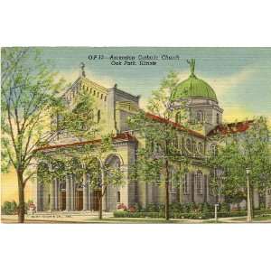 1950s Vintage Postcard   Ascension Catholic Church   Oak Park Illinois