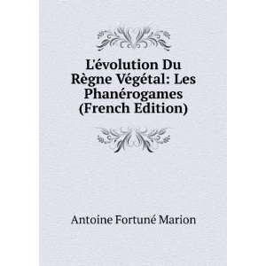   Les PhanÃ©rogames (French Edition) Antoine FortunÃ© Marion Books
