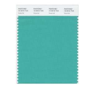  PANTONE SMART 15 5516X Color Swatch Card, Waterfall: Home 