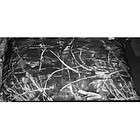 Camo Weather Proof Dog Bed BRAND NEW MOSSY OAK