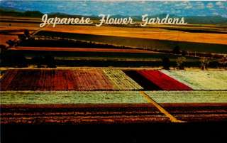 Postcard 905501 Japanese Flower Gardens AZ  