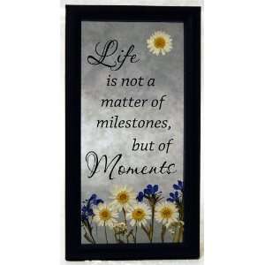   K596 64 Pressed Flowers Life Moments Wall Decor, Life Is Not A Matter