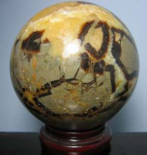 Collection BIG Mineral SEPTARIAN SPHERE Calcite Crystal  
