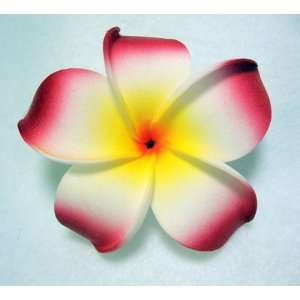  NEW Red Plumeria Flower Hair Clip, Limited.: Beauty