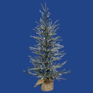  30 x 16 Frosted Angel Pine Christmas Tree w/ 319T: Home 
