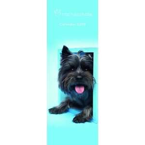    Rachael Hale Dogs Slim Calendar 2009 (9781847702906) Books