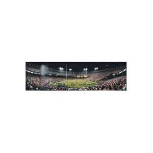  Stadium Prints unframed panoramic prints Sports 