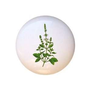  Basil Herbs Spices Drawer Pull Knob