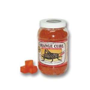   Orange Cube Complete Cricket Diet for All Feeder Insects (12 oz. Jar