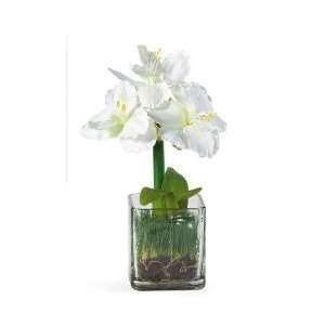 Exclusive By Nearly Natural White Amarylis Silk Arrangement w/Glass 