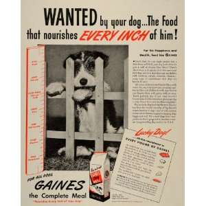  1945 Ad Gaines Complete Dog Meal Protein Coat Foot Pads 