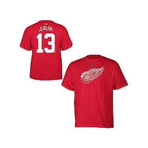   Datsyuk Language Barrier Name & Number T shirt: Sports & Outdoors