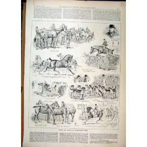  1892 Horses Hounds Peterborough Show Jumping Hunter