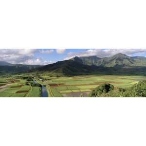  Field with Mountains in the Background, Hanalei Valley 