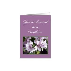  Flowers and Ferns, Cotillion Invitation Card Health 