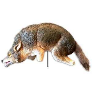 Coyote Decoy 3D   for Menacing Birds, Geese, & Other Small Animals
