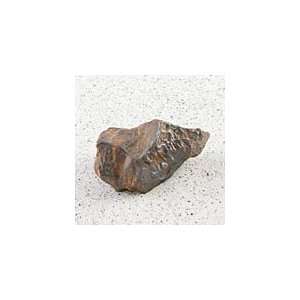  Iron Meteorite (Type IIICD) Toys & Games