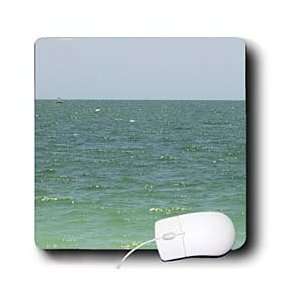 Florene Water Landscape   Sanibel Gulf   Mouse Pads Electronics