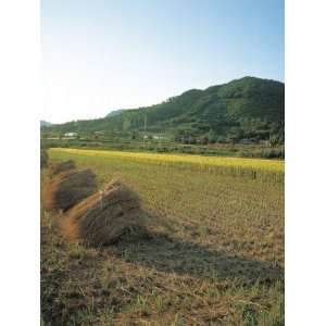 Landscape of Cultivated Farm Land with Hay Bails and 