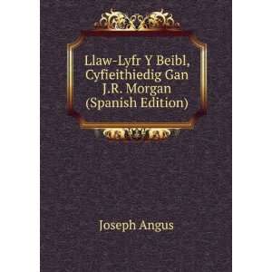   Cyfieithiedig Gan J.R. Morgan (Spanish Edition) Joseph Angus Books