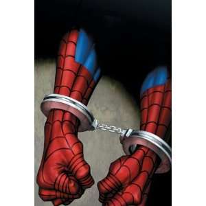   Spider Man #31 Cover Spider Man by Mark Bagley, 48x72