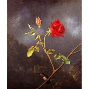     Martin Johnson Heade   24 x 28 inches   Red Rose with Ruby Throat