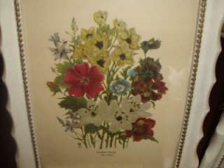 Vintage Pair of Loudon Florals & TL Trevost Framed Prints Nice  