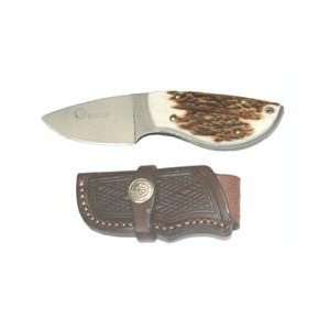  Stag Handle Caping Knife w/ Sheath
