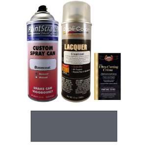   Gray Spray Can Paint Kit for 1994 Dodge Van Wagon (S9/MS9): Automotive