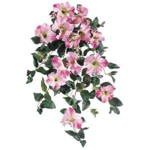  Petunia Hanging Bush x10 Pink Cerise (Pack of 6) Patio, Lawn & Garden