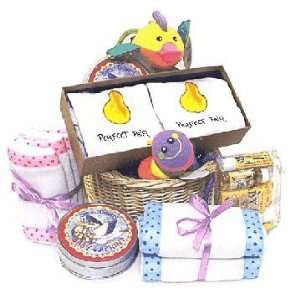 Perfect for All Twins Baby Gift Basket  Grocery & Gourmet 