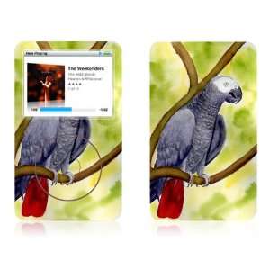  African Grey   Apple iPod Classic Protective Skin Decal 