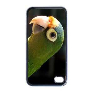  Parrot Apple iPhone 4 or 4s Case / Cover Verizon or At&T 