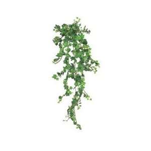  26 Curly Ivy Hanging Bush w/399 Lvs. & Berries Green (Pack 