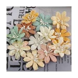  Prima Songbird Handmade Paper Flowers Lucerne 1.5 12/Pkg 