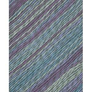  Berroco Linsey Colors Yarn 6509 Aquinnah: Arts, Crafts 