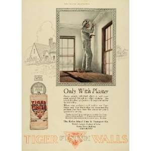 com 1925 Ad Tiger White Rock Finish Walls Construction Builder Kelley 