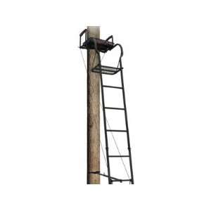  Big Dog Foxhound Ladder Treestand: Sports & Outdoors