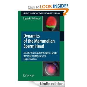 Dynamics of the Mammalian Sperm Head Modifications and Maturation 