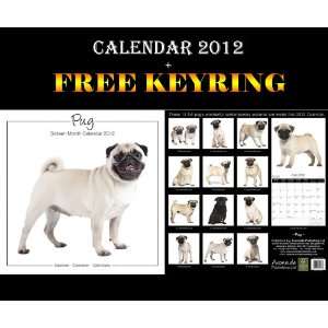    PUG Studio Dogs Calendar 2012 + Free Keyring AVONSIDE Books