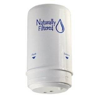   Filtered Shower Filter Cartridge (Compatible with Wellness Filter