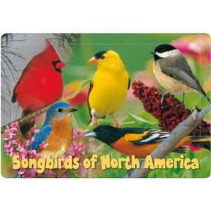 New Impact Photographics Kids Puzzle Songbirds 40 Piece Puzzle For 
