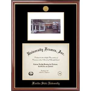   Florida State University College of Law Diploma Frame: Home & Kitchen