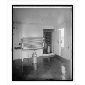   Print (M): Chestnut Farms Dairy, [Washington, D.C.]: Home & Kitchen