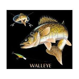  T shirts Aquatic Sea Life Fish Walleye Combination XXL 